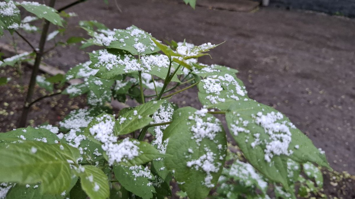 В Самарской области 26 ноября резко похолодает до -6°C