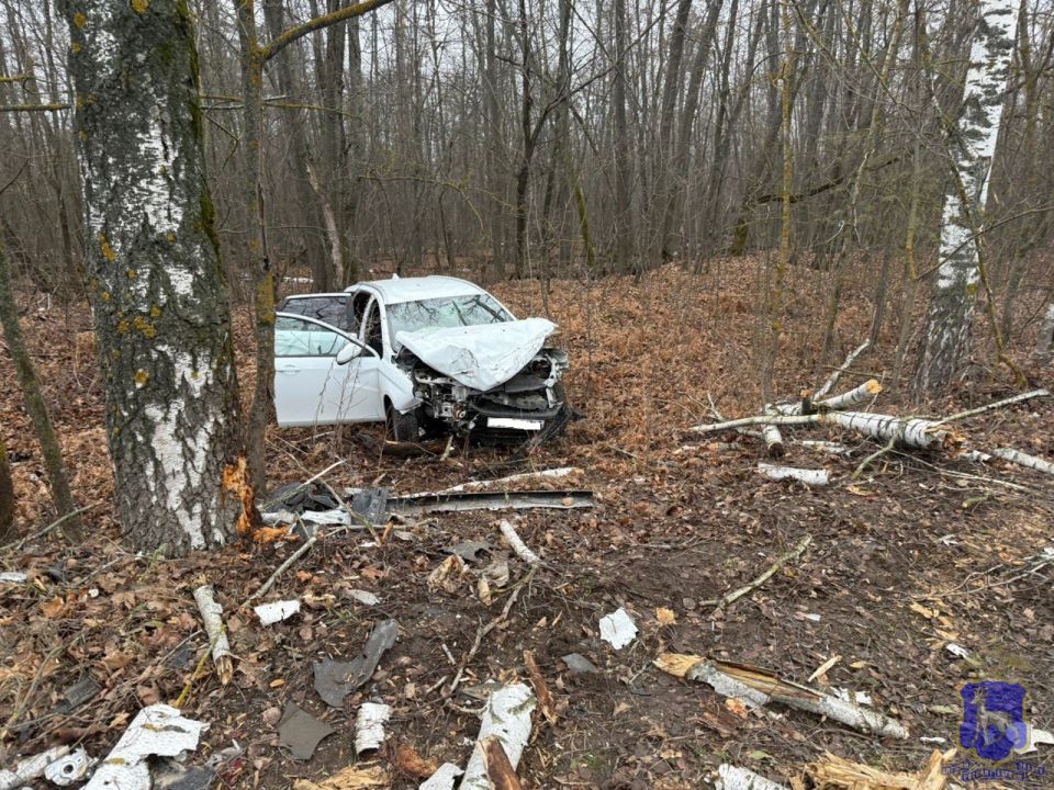 ���������� ������� �������� �� ����� ��� � ������