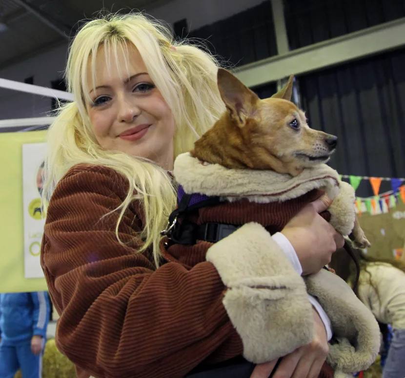 «Друг человека-2025» На международном фестивале-выставке в Самаре представили самых милых питомцев