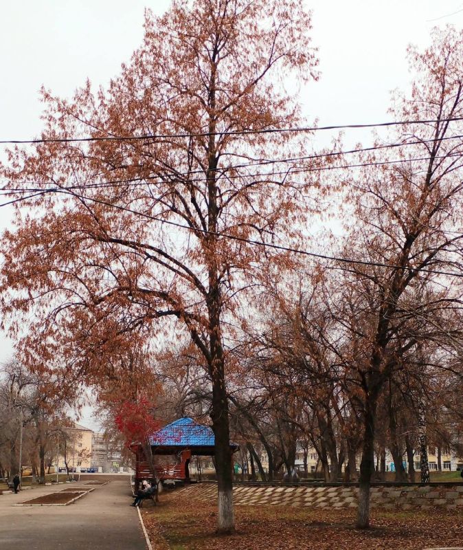 ������ ����, ������!. ����� ����������� ���� ����� �������� ���������� �������� ��������� �������������! : �������� ����� ������ � �������