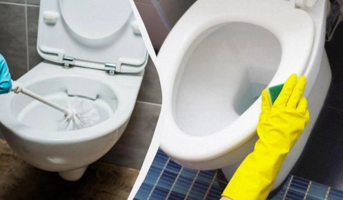 Как очистить сиденье унитаза до блеска с помощью простых домашних средств