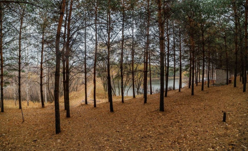 ������ ����, ������!. ������ ��� �������� ���! :���� �� �����