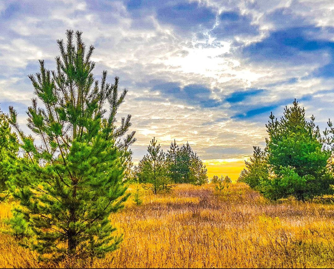 Доброго четверга вам, друзья!
