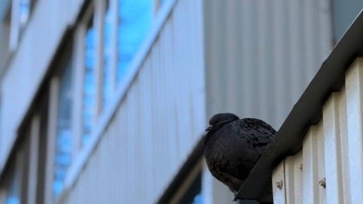 «Аварийность зашкаливает»: в прокуратуре оценили ситуацию в ЖКХ