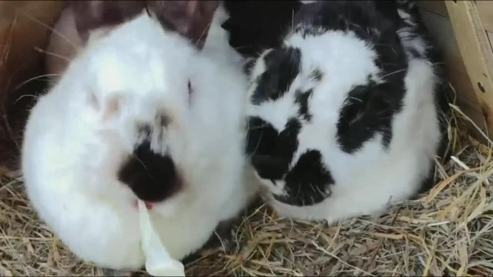 �������� ����� � ���������� ��� ������ ������� �� ���������� ��������