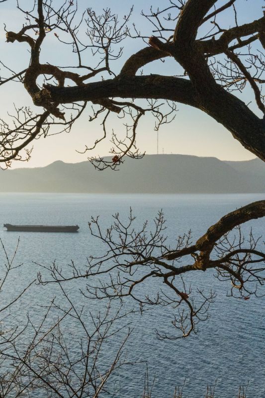 � � ���� ������ �����, ���� �����