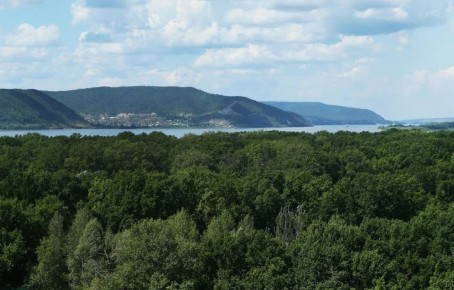 В Самарской области причинен ущерб лесному хозяйству на 1,3 млн рублей с начала года