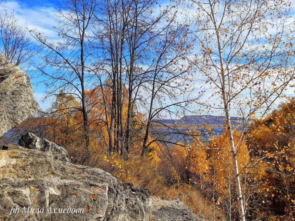 ������ ����, ������!. ������ ��������� ���! : �������� ����� ������ � �������