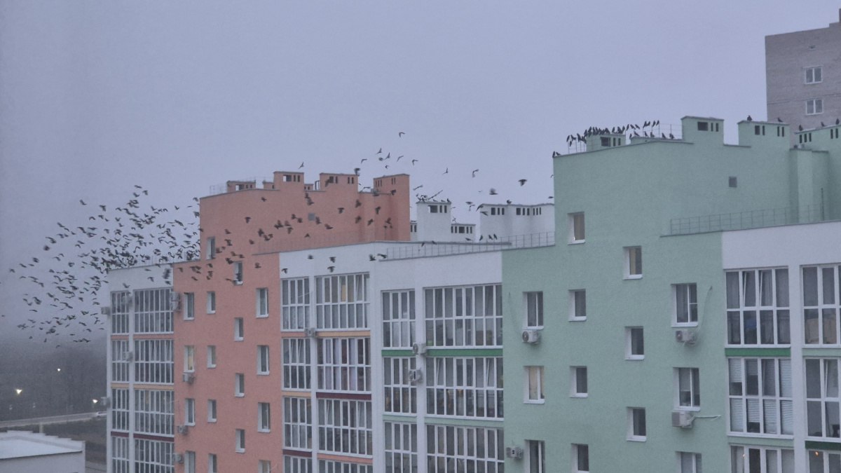 Синоптики рассказали, какая погода ждет самарцев на выходных с 29 по 30 ноября