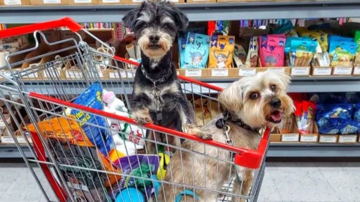 Как простая газета на дне тележки может защитить ваше здоровье в магазине