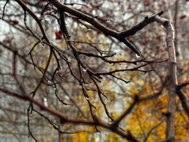  !. 28     -1...+3 C        - , 2...8 /.   MAX l l l