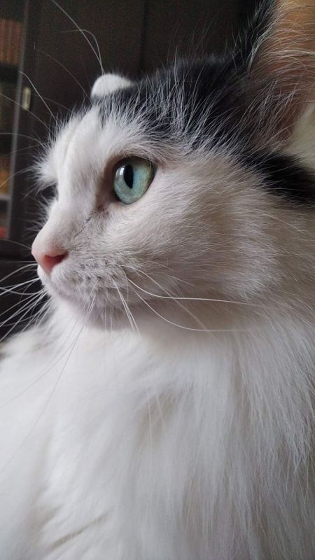 ��������� �������. ������� ������, ��� � ��� ����� ��������� � �������� ���� �����! : ����� ������� �������� � ������������ ������������ ����� �������� ��������