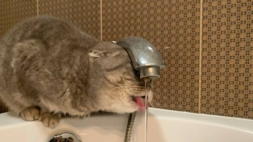 На нескольких улицах Самары временно не будет холодной воды 30 ноября