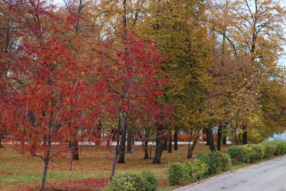 ������ ����, ������!. ������ ��������� ���! ����� �� ����� �������� �������� ��������� � ������� ��� ����� ����������, ����� ��������! : ��������� ��������� ������ � ����