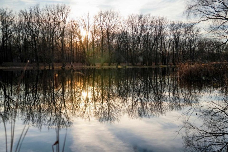 � ������ ���� ����, ������, ���� ��� �����