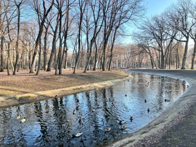Доброе утро!. 2 декабря столбики термометров покажут -1...+1 °C Синоптики обещают облачную погоду, без осадков