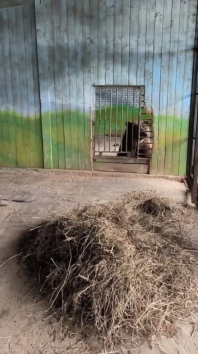 ���� �� ���������� �������� ����� � ����!