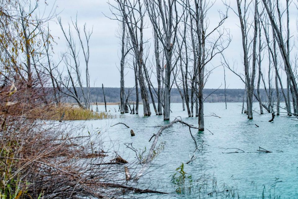 ���������� ����� � ����� ������� � �������� ��������