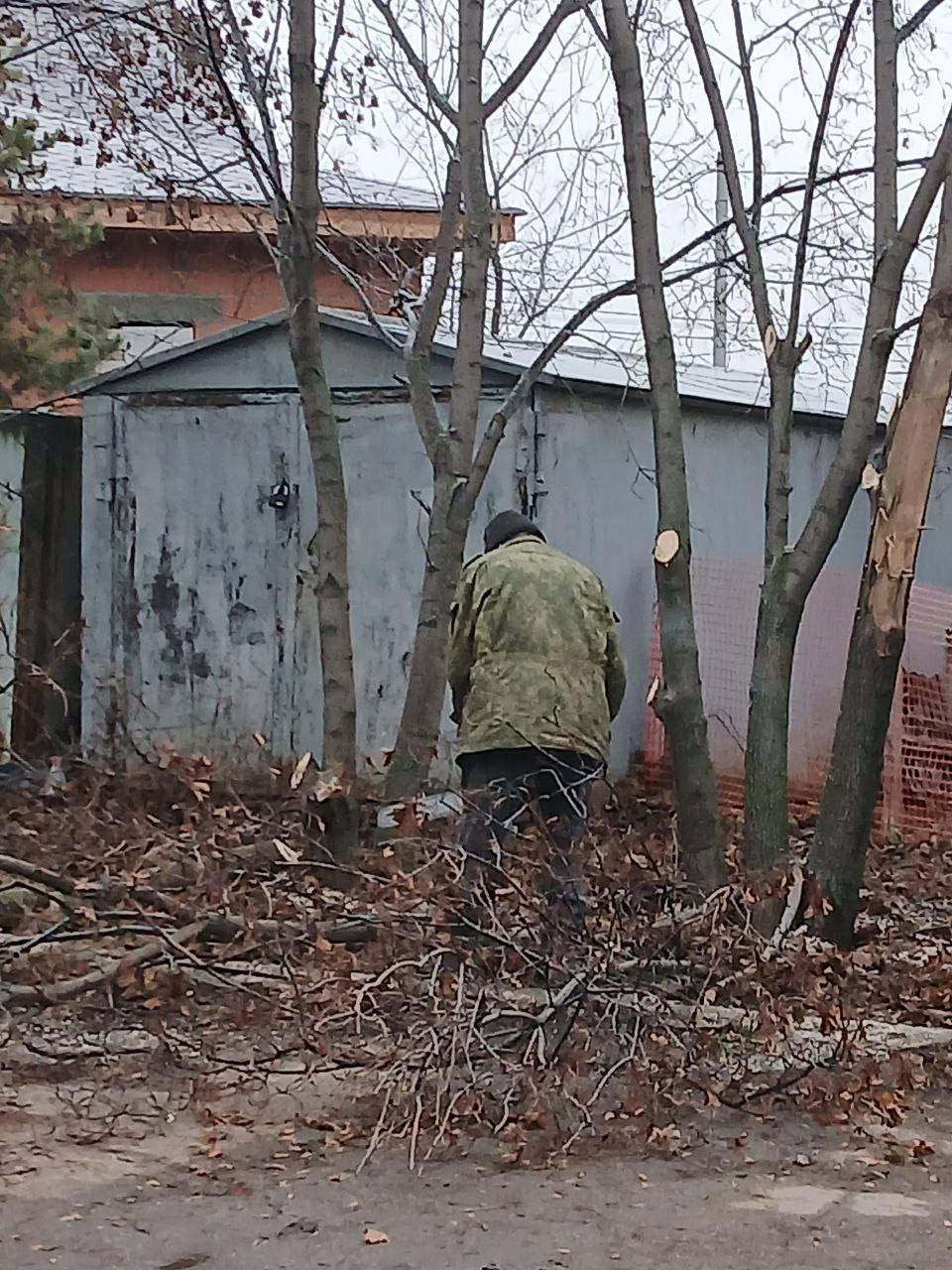 В ответ на просьбу жителя сельского поселения Курумоч о принятии мер к опилу деревьев для предотвращения повреждений транспортных средств и нанесения имущественного вреда жителям, администрация поселения ответила, что... В ответ на просьбу жителя сельского поселения Курумоч о принятии мер к опилу деревьев для предотвращения повреждений транспортных средств и нанесения имущественного вреда жителям, администрация поселения ответила, что...