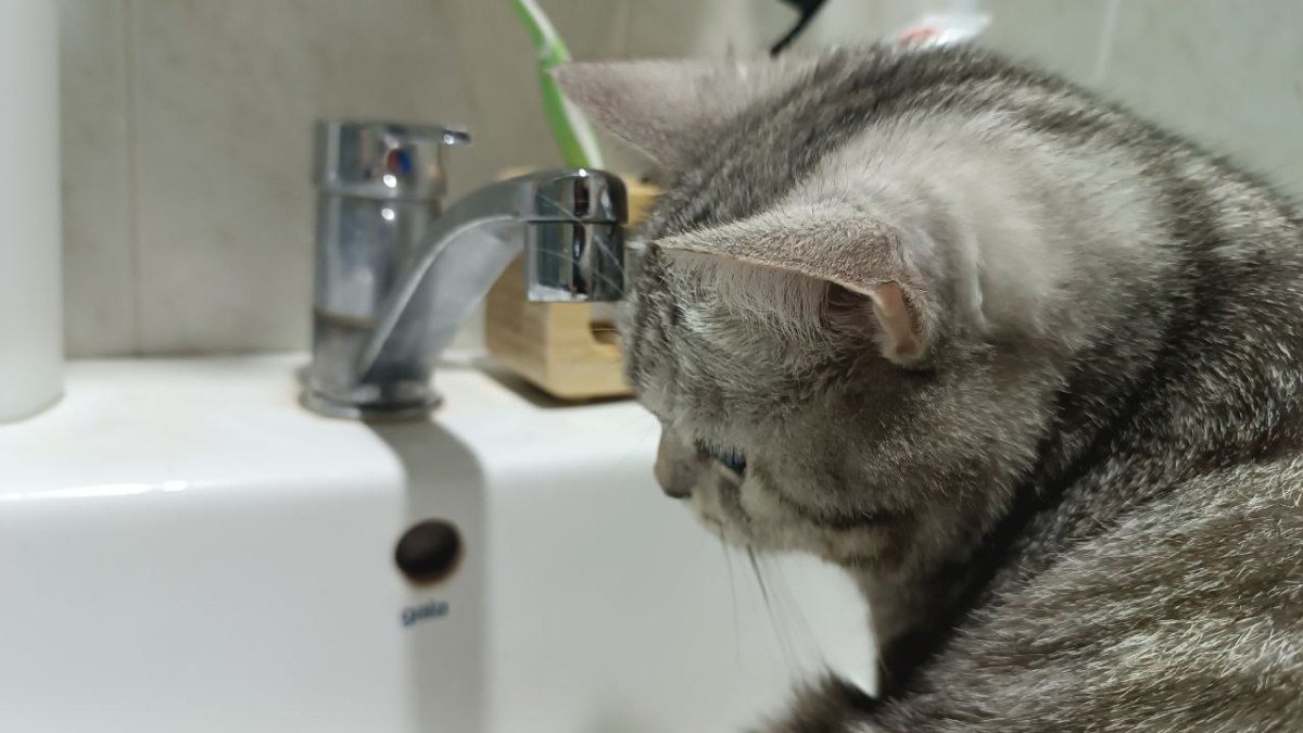 11 улиц Самары временно останутся без воды 4 декабря