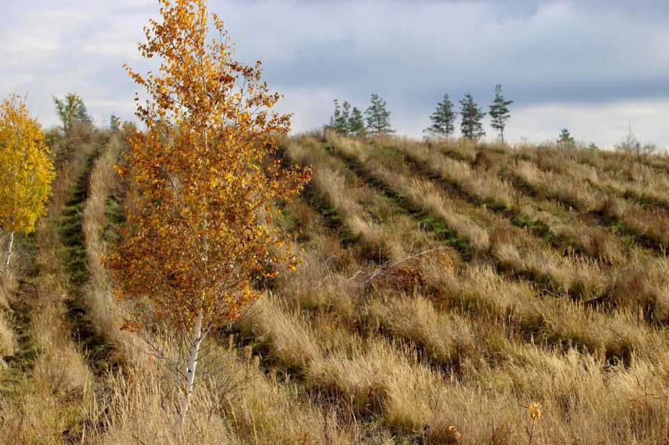 17 �������� ������ ���� ��� �������������� ����