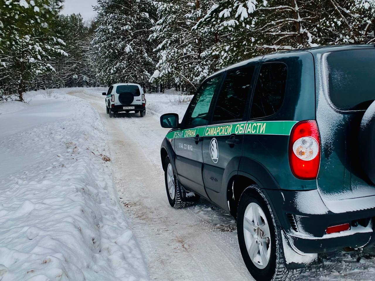 С 1 декабря в регионе началась ежегодная операция «Ель»