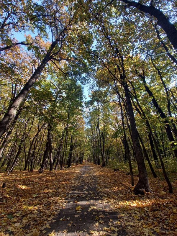 ������ ����, ������!. ������� ��� ���������� ����������! :��������� ��������� ������ � ����