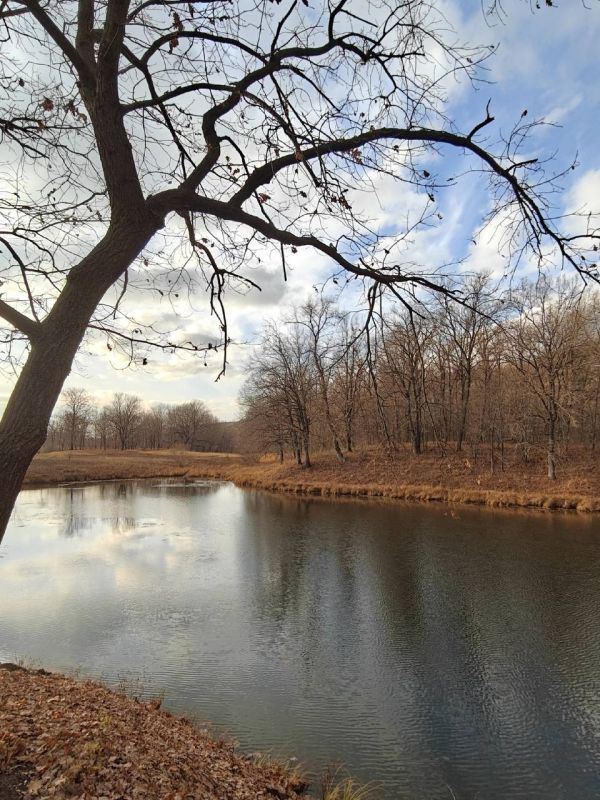 ������ ����, ������!. ����� ���� ����� �������� �������������� ��������! : �������� ����� ������ � �������