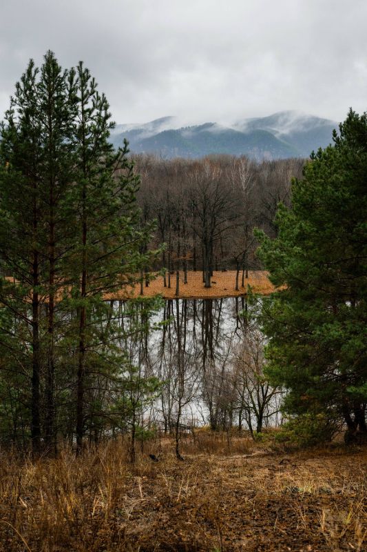 ��������� ���� ���������. ����: ����� ������