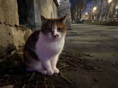   !. 5     -1...+2 C    ,   ,  