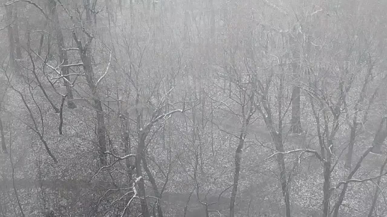 Ну вот, похоже, зима действительно пришла