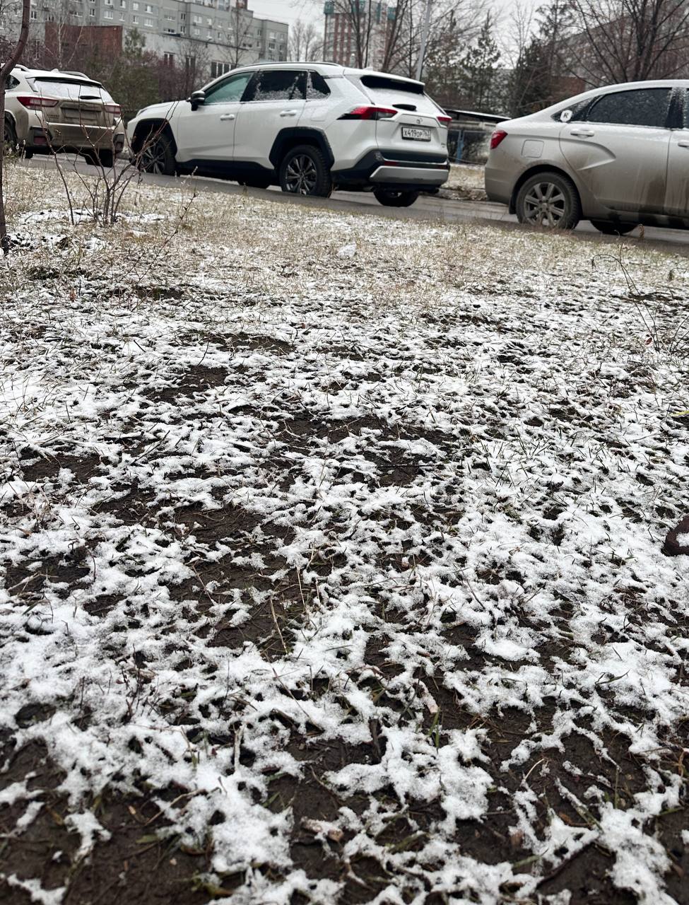 Ну вот, похоже, зима действительно пришла Ну вот, похоже, зима действительно пришла