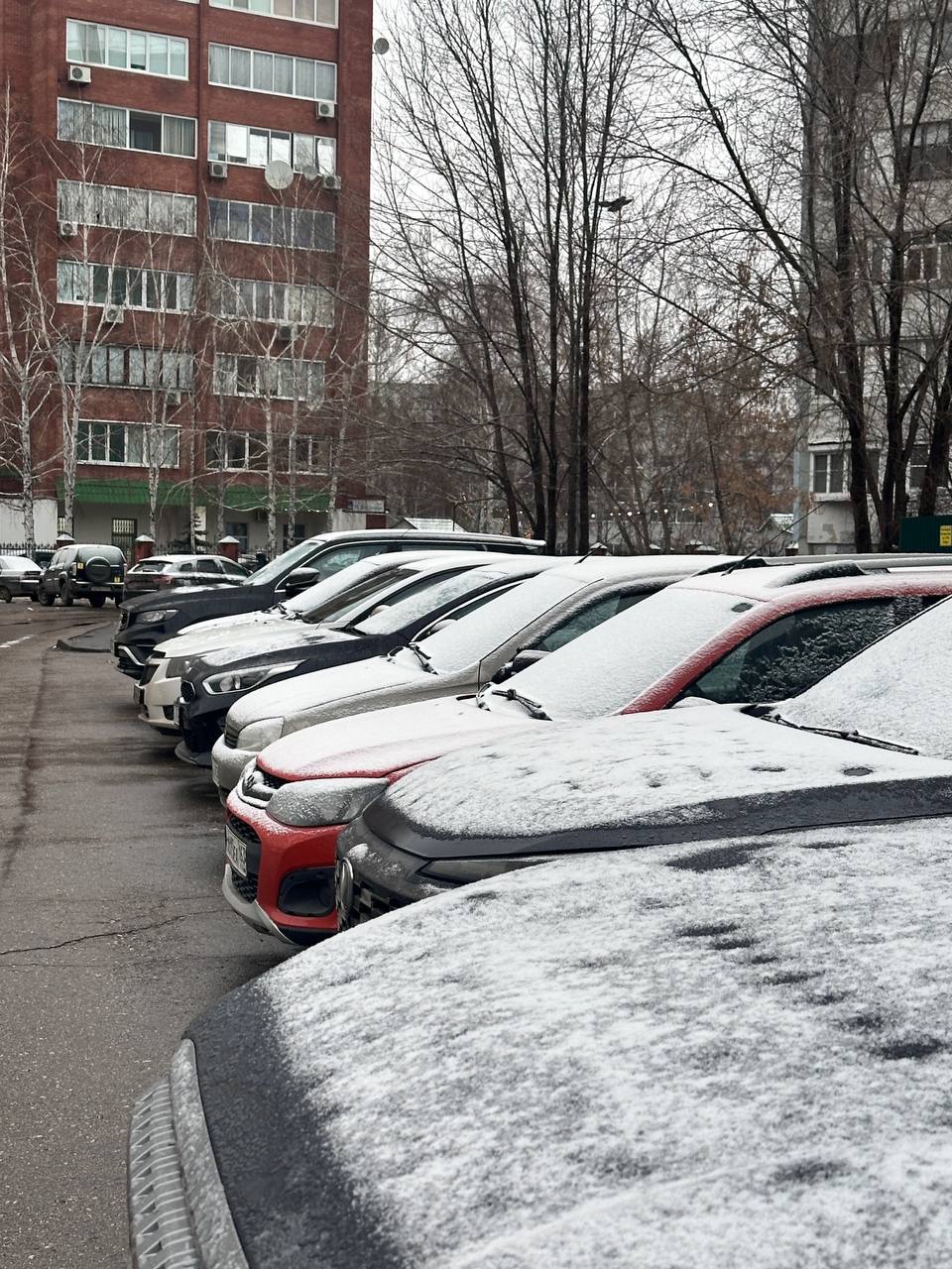 Ну вот, похоже, зима действительно пришла Ну вот, похоже, зима действительно пришла