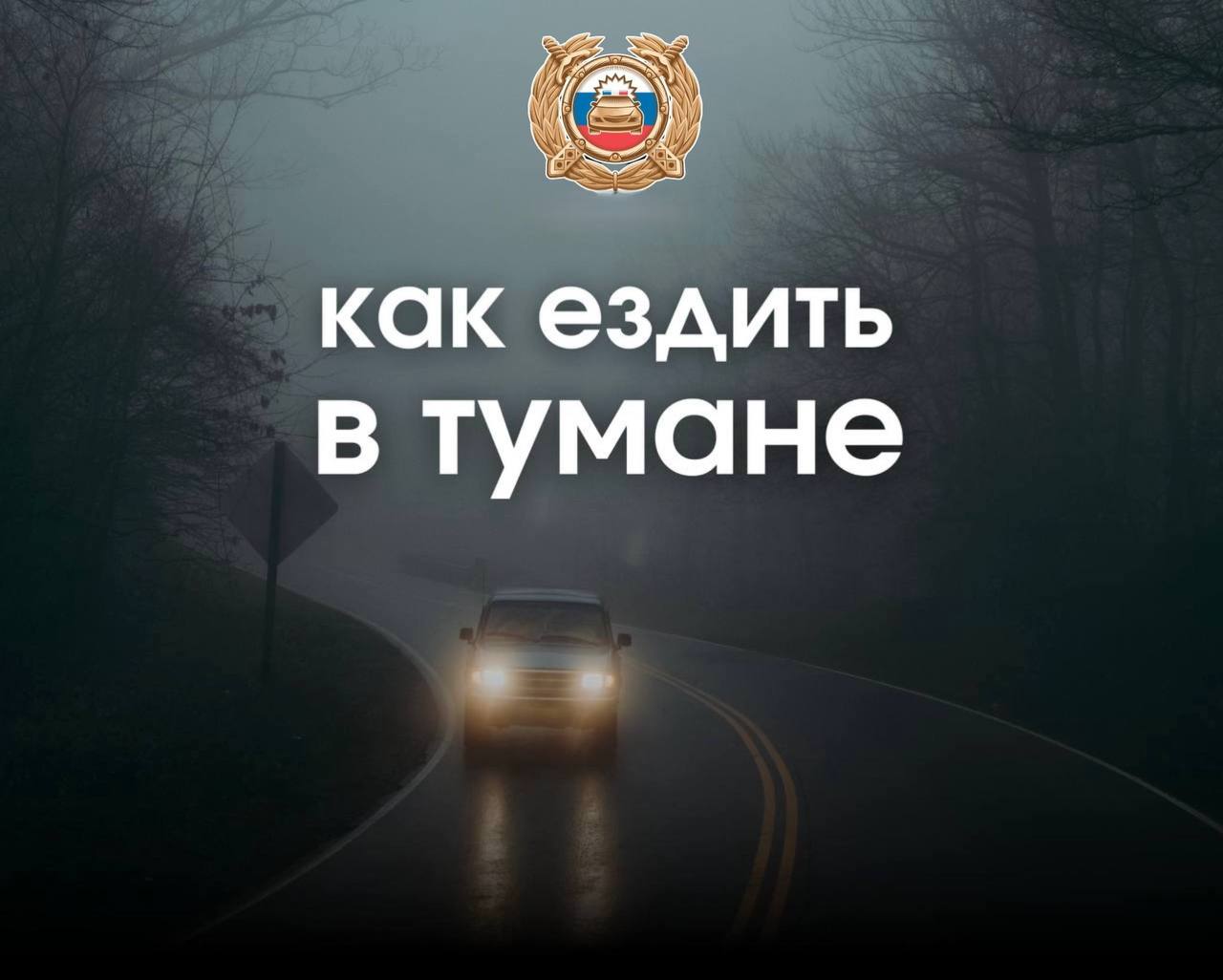 Управление автомобилем в тумане опасно даже для опытных водителей