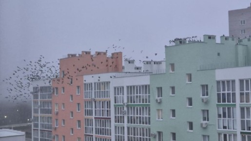 Пора утепляться: со следующей недели Самару ждет похолодание