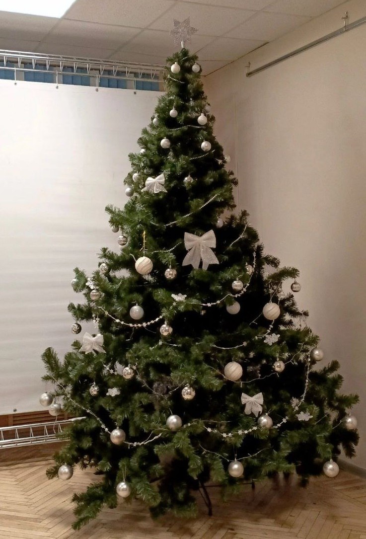 Главный символ новогодних праздников — украшенная ёлка!