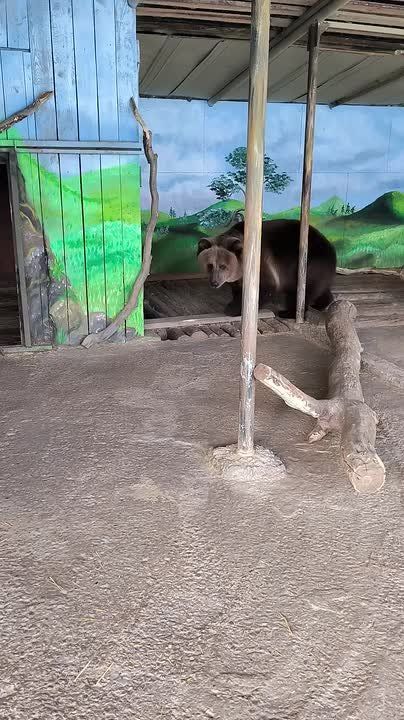 ��������� ������� ���������� �� ����� ��������