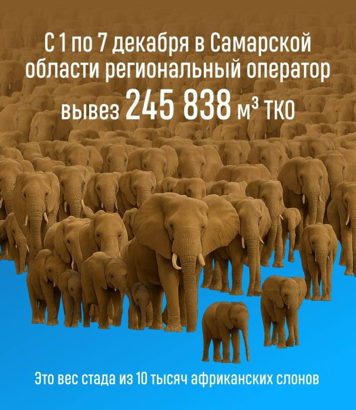 245 ����� 838 ���������� ������ ������ � ��� ����� ��� ����?