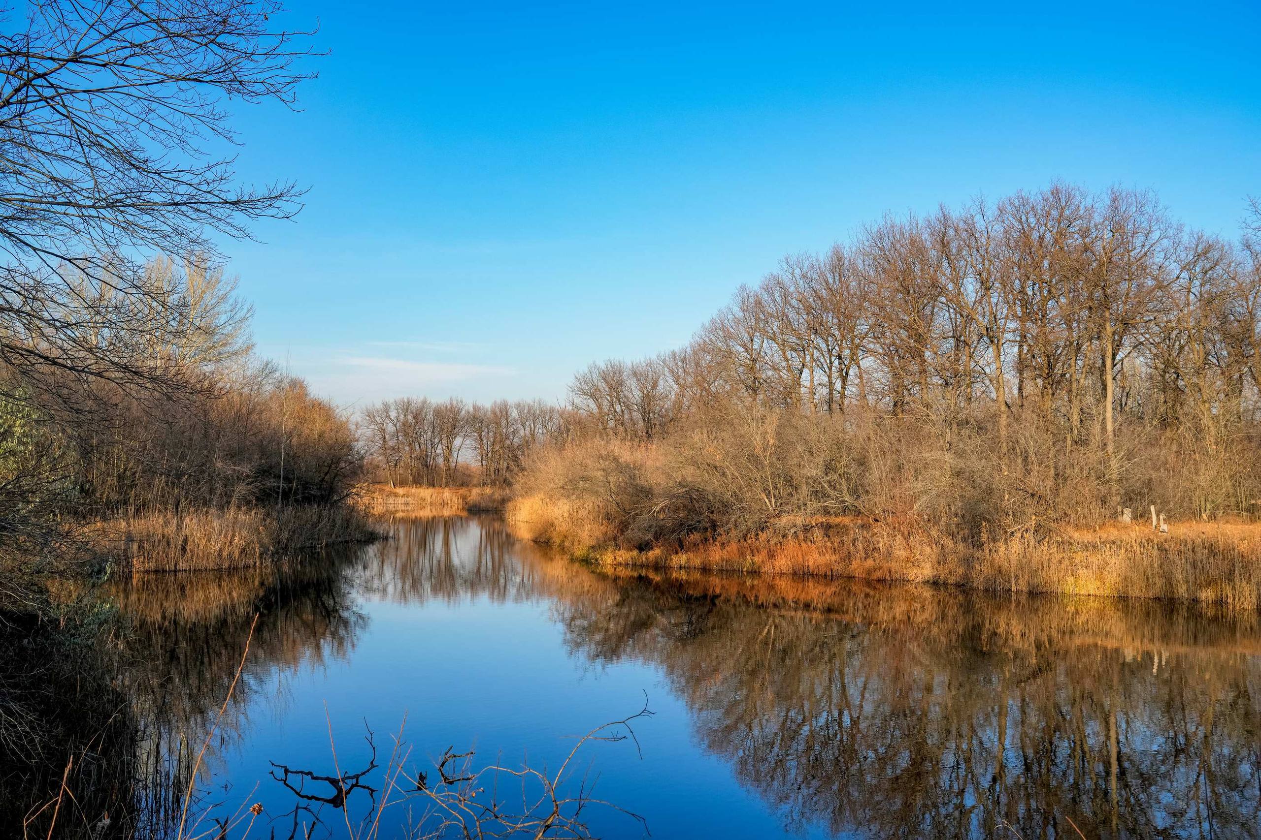 Озеро Лесное. Летом тут не протолкнуться Озеро Лесное. Летом тут не протолкнуться