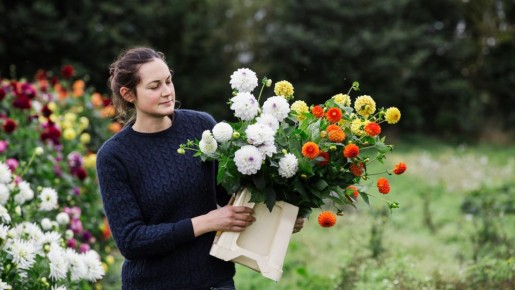 Вырастут без рассады: эти сорта красивейших цветов можно посадить сразу в грунт