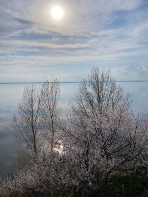 ������ ����, ������!. ������ ��������� ��� � ������������� ������! : �������� ����� ������ � �������