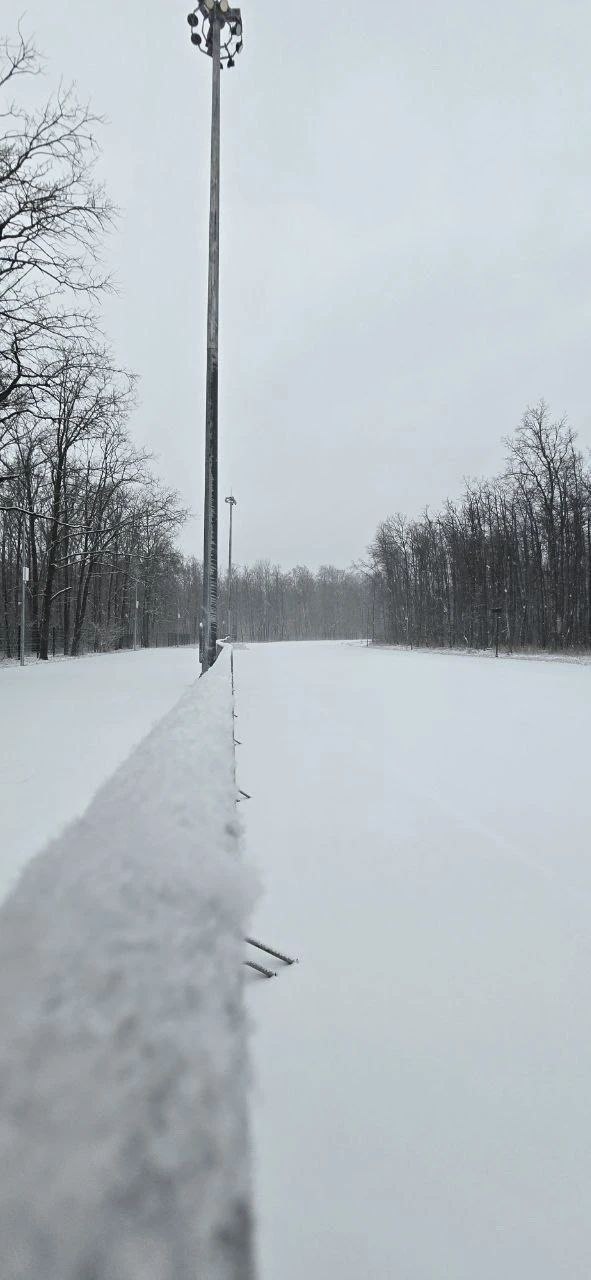 Успели соскучиться по снегу и лыжам? Успели соскучиться по снегу и лыжам?