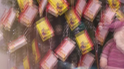 ���� �������: ������ ���������