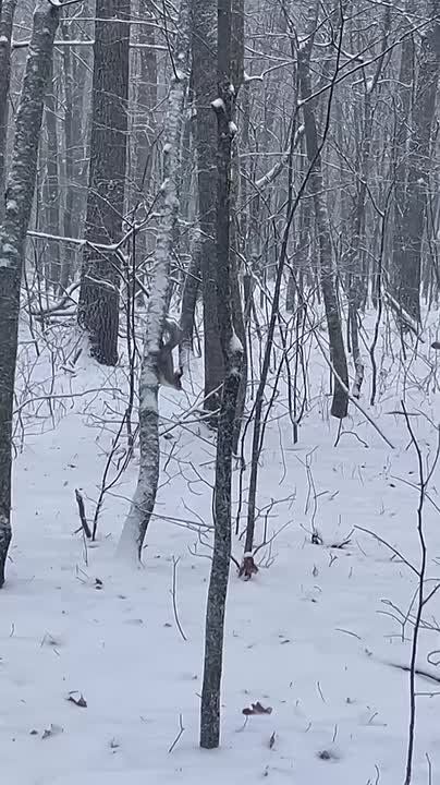 ������ ��� � ��������� ������!