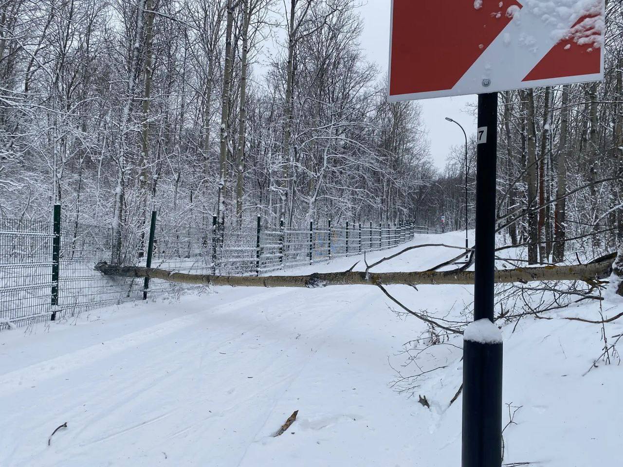 Уважаемые посетители!. В связи с погодными условиями (шквалистый ветер) на территории учреждения высокая вероятность падения деревьев на трассу Уважаемые посетители!. В связи с погодными условиями (шквалистый ветер) на территории учреждения высокая вероятность падения деревьев на трассу