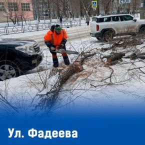 Городские службы оперативно устранили последствия сильного ветра в Самаре!