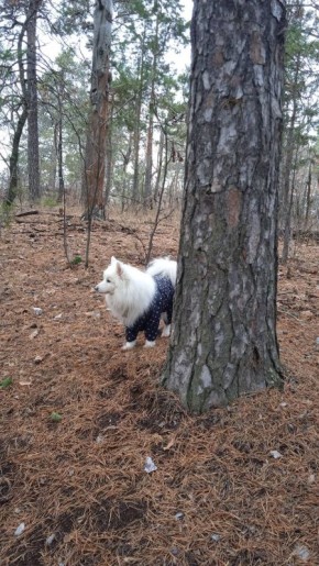 ��������� �������. ������� ������, ��� � ��� ����� ��������� � �������� ���� �����! : ����� ��� �������� � ������������ ������������ ����� �������� ��������