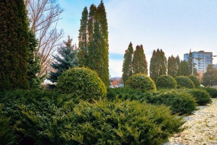 ������ ����, ������!. ��������, ������� ���������� ���������� ���� �� �����