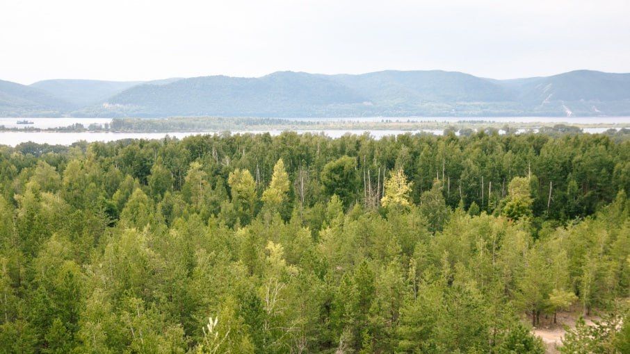 1 ��������� ���� ��� ������� ����������