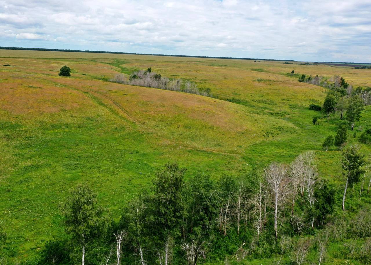 Сразу 60 памятников природы Самарской области получили охранные зоны по распоряжению губернатора Вячеслава Федорищева Сразу 60 памятников природы Самарской области получили охранные зоны по распоряжению губернатора Вячеслава Федорищева